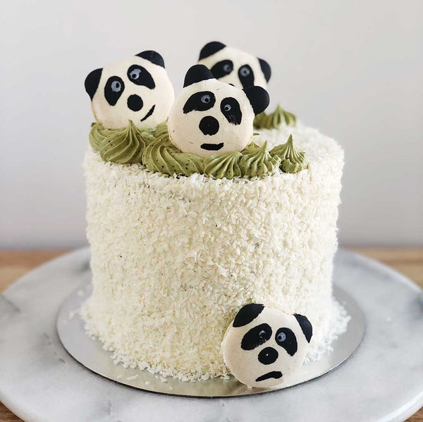 Panda Macaron Masterpiece: Matcha-Choco Coconut Cake Delight