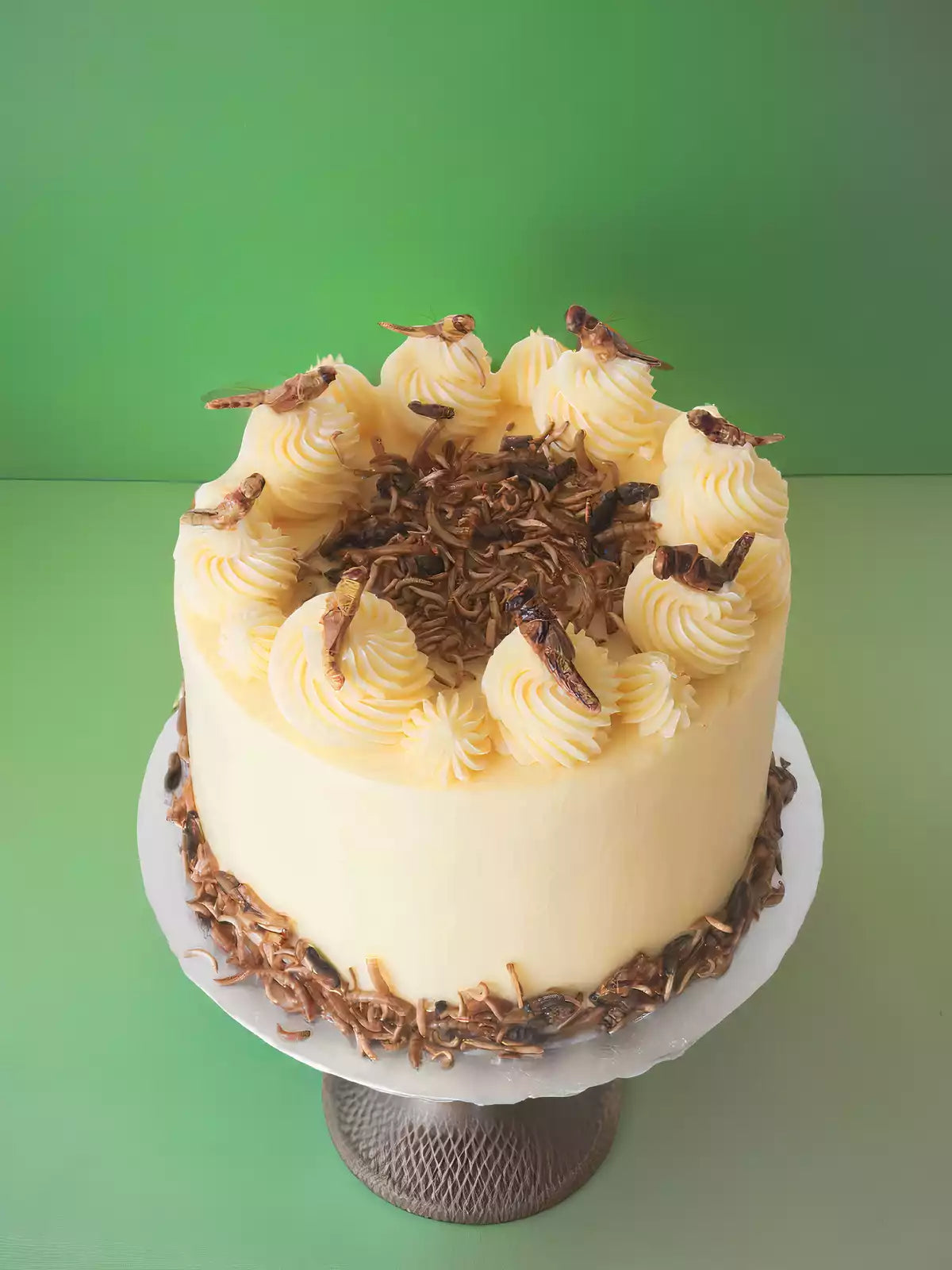 Insect Cake