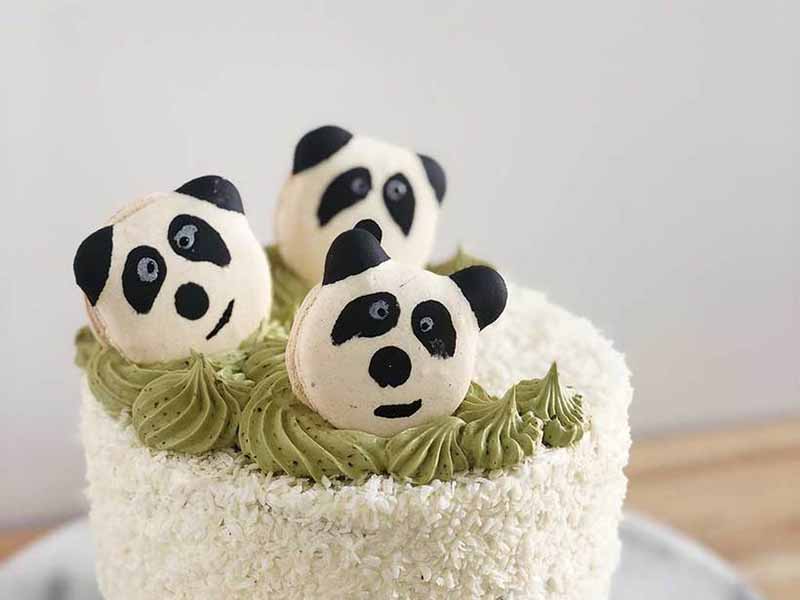 Cute Panda Cake - Children's Birthday Cake Delivery – My Baker