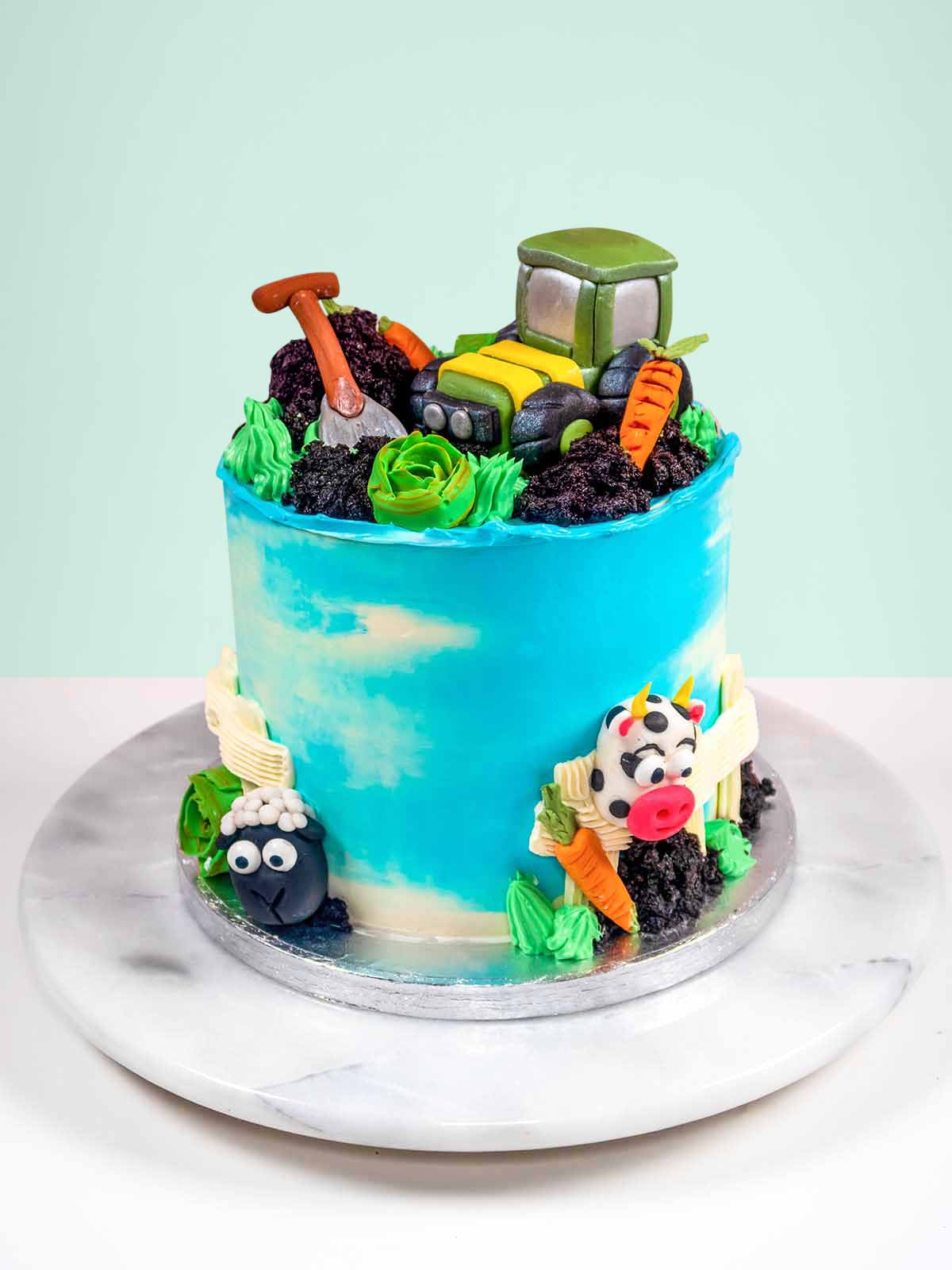 Birthday Cakes — The Cake Fairy